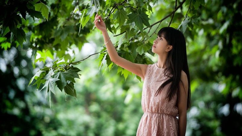 崩坏星穹铁道崇高道德的赞许怎么获得 崇高道德的赞许获得方法